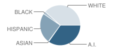 Hulet Elementary School Student Race Distribution