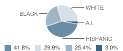 Durango Detention School Student Race Distribution