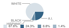 Joseph City Junior High School Student Race Distribution