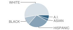 Frost Elementary School Student Race Distribution