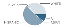 Early Education Center School Student Race Distribution