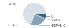 Mohave Valley Junior High School Student Race Distribution