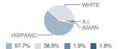 Oracle Ridge School Student Race Distribution