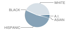 Mountain Vista School Student Race Distribution