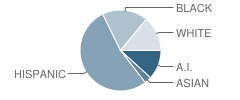 Solano School Student Race Distribution