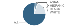 Page High School Student Race Distribution