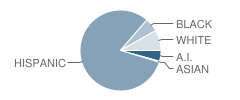 Ralph Waldo Emerson Elementary School Student Race Distribution