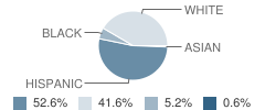 Ehrenberg Elementary School Student Race Distribution