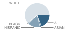 Sinagua Middle School Student Race Distribution