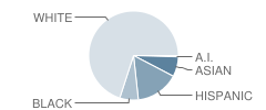 Chaparral Elementary School Student Race Distribution