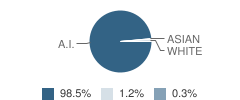 Red Mesa High School Student Race Distribution