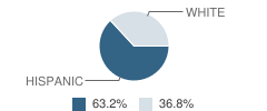 Sentinel Elementary School Student Race Distribution