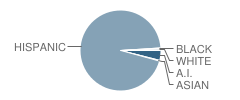 Tierra Del Sol Elementary School Student Race Distribution