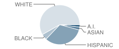 Mountain Sky Middle School Student Race Distribution