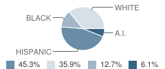 Adobe Mountain School Student Race Distribution