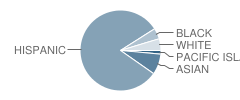 Renaissance Academy Student Race Distribution