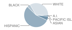 San Gorgonio Middle School Student Race Distribution