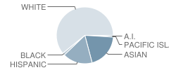 Woods (Harold L.) Elementary School Student Race Distribution