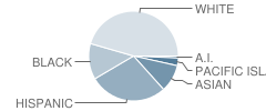 East County Secondary Special Education School Student Race Distribution