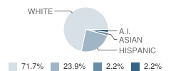 Mountain View High School Student Race Distribution