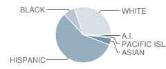 Valley Preparatory Academy Student Race Distribution