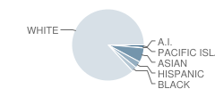 Millswood Middle School Student Race Distribution