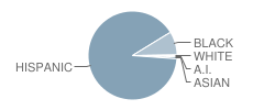 Stella Middle Charter Academy Student Race Distribution