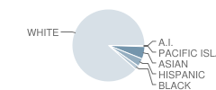 Stone Bridge School Student Race Distribution