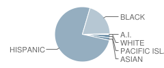 Lps College Park School Student Race Distribution