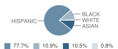 Think College Now School Student Race Distribution