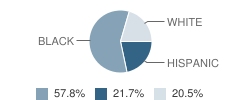 Yellen Learning Center School Student Race Distribution