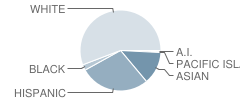 Las Colinas Middle School Student Race Distribution