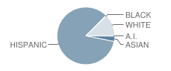 Sequoia Elementary School Student Race Distribution