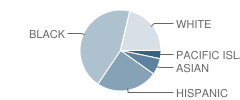 North Area Community School Student Race Distribution