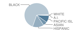 Kipp Bayview Academy Student Race Distribution