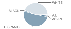 Grizzly Challenge Charter School Student Race Distribution