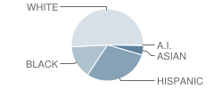 New West Charter Middle School Student Race Distribution