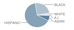 Rosa Parks Academy Student Race Distribution