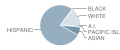 P. A. Walsh Elementary School Student Race Distribution