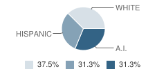 Campo High (Continuation) School Student Race Distribution