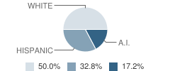 Hillside Junior / Senior High School Student Race Distribution