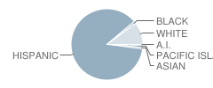 Phillips-Edison Partnership School Student Race Distribution