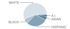 Delta Charter High School Student Race Distribution