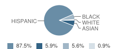 Ascend School Student Race Distribution