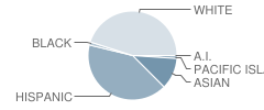 Cerro Villa Middle School Student Race Distribution