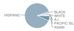 Pacifica High School Student Race Distribution