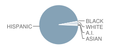 E. A. Hall Middle School Student Race Distribution