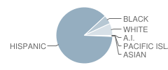 Los Amigos School Student Race Distribution