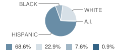 Felix J. Appleby Elementary School Student Race Distribution