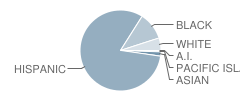 Pinacate Middle School Student Race Distribution